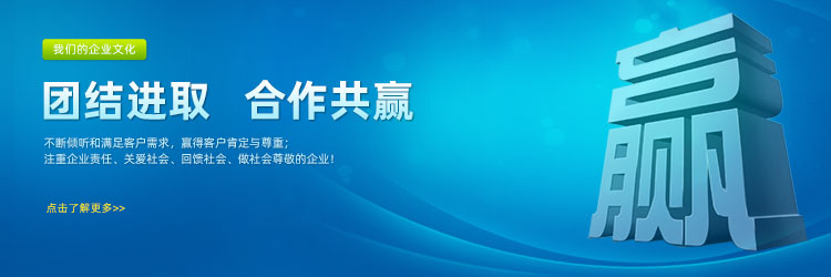 无声链条,不锈钢输送链条,输送链条价格